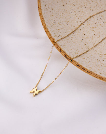 Colar Signo Peixes